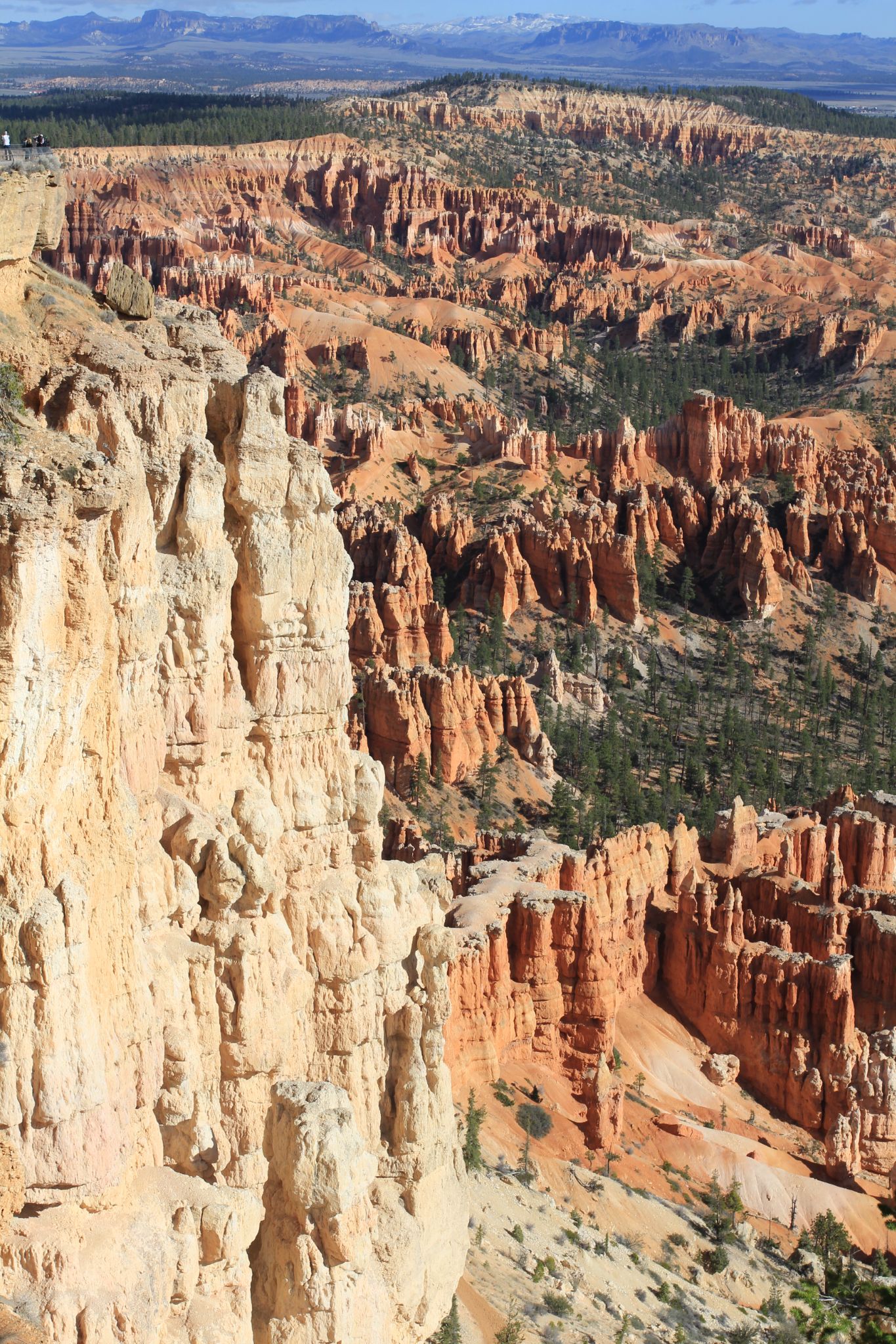 IMG 2713   Copie (2)